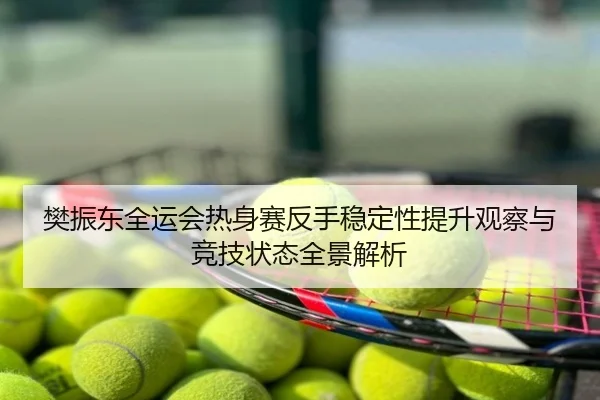 樊振东全运会热身赛反手稳定性提升观察与竞技状态全景解析